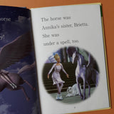 Lot de 4 Learning Ladder Level 2