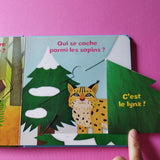Qui se cache ? A la montagne