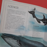 Gli animali del mare