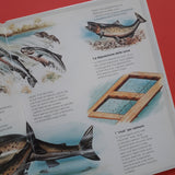 Gli animali del mare