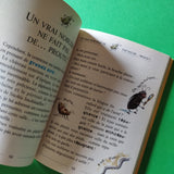 Geronimo Stilton. 31. Un vrai gentil rat ne pue pas !