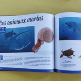 Cherche et Trouve. Les Dinosaures