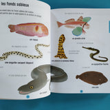 Mon premier dico visuel des animaux