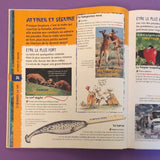 Les records des animaux