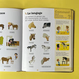 Mes années pourquoi. Poneys et chevaux