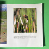 Born Wild in Yellowstone and Grand Teton National Parks