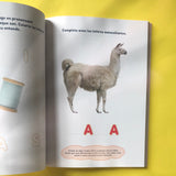 Je sais lire ! Le cahier d'activités pour entrer dans la lecture dès la maternelle
