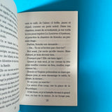 Je suis amoureux d'un tigre