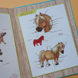 A cheval ! 02. Qui s'y frotte s'hippique !