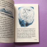 Le poney dans la neige