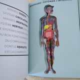 Anatomie