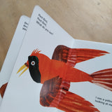 Brown Bear, Brown Bear, What do you see?