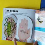 Kididoc. Les Insectes
