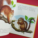 Baby Animals