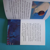 La famosa invasione degli orsi in Sicilia: il romanzo del film