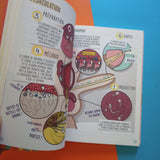 Dans mon caleçon: Tout comprendre sur mes spermatozoïdes