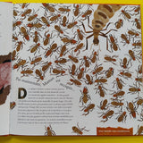 Frères et soeurs dans le monde animal