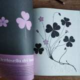 L'erbario. I fiori dei boschi d'Europa