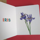 Mon imagier. 75 mots à lire dès 3 ans