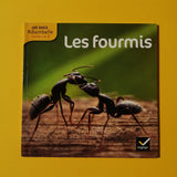 Les Docs Ribambelle. Les fourmis