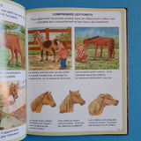 L'imagerie du poney et du cheval