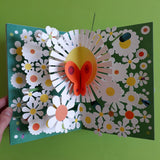 Le jardin des papillons