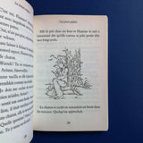 Les Chatons Magiques. 13. Une Photo Parfaite