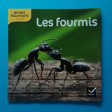 Les Docs Ribambelle. Les fourmis