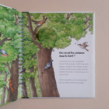 Les p'tits juniors. La forêt