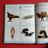 Il tuo primo libro per imparare l'inglese