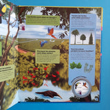 Questions ? Réponses ! La Terre