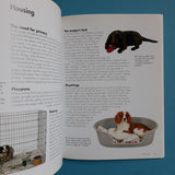 Care for your Puppy
