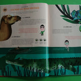 Nemmeno stupido! I 5 sensi.