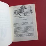 Le Clan des Bordesoule. 16. le Secret de la Dune d'Escoublac.