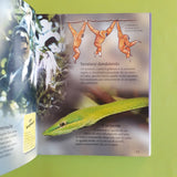 Impara a conoscere gli animali. Il più grande, il più piccolo, il più veloce