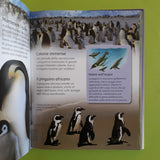 Impara a conoscere gli animali. Il più grande, il più piccolo, il più veloce