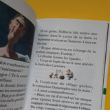 Asterix, il segreto della pozione magica. Il romanzo del film