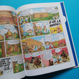 Astérix. Le Domaine des dieux
