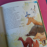 15 Histoires au Pays des Animaux