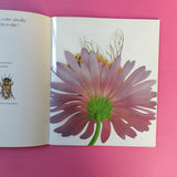Mes livres magiques. Cache-cache avec l'abeille