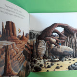I miei libri magici. Nascondino con il deserto