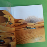 I miei libri magici. Nascondino con il deserto