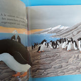 Mes livres magiques. Cache-cache avec le pingouin