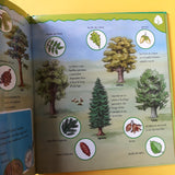 La forêt