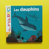 I miei piccoli documenti. I delfini
