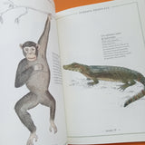 Inventario illustrato degli animali