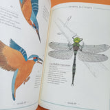 Inventario illustrato degli animali