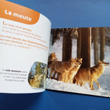 Les Docs Ribambelle. Le Loup