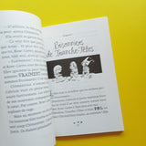 La princesse qui défiait les brigands