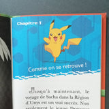 Pokémon, Noir et Blanc. Destinées Rivales. La revanche de Gruikui